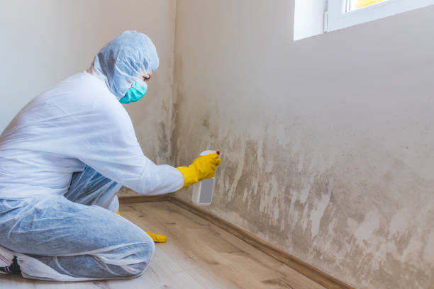 Mold inspector in Mears performing thermal imaging